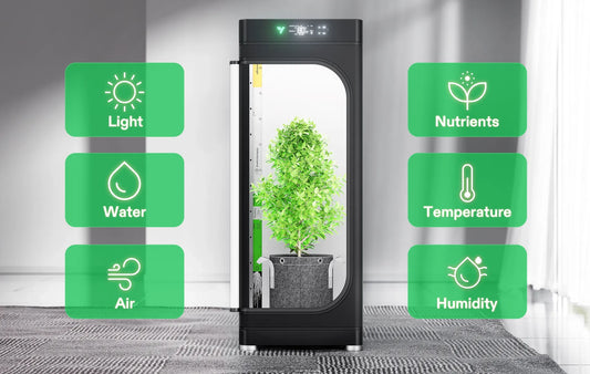 Controllo Completo sull'Ambiente nella Coltivazione Indoor: Perché è Cruciale?